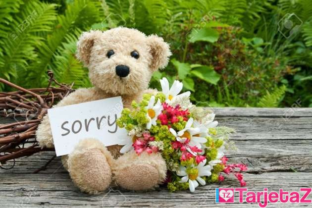 tarjeta de disculpas con flores